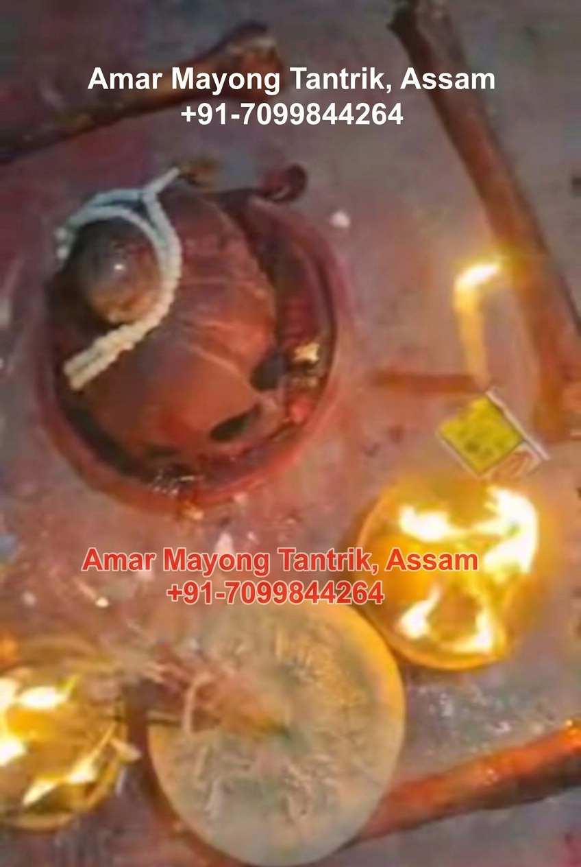 Night observance with lamps and fire performed by Amar Mayong Tantrik, Assam